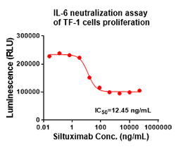 抗IL-6抗体的中和实验2