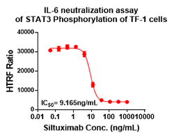 抗IL-6抗体的中和实验5