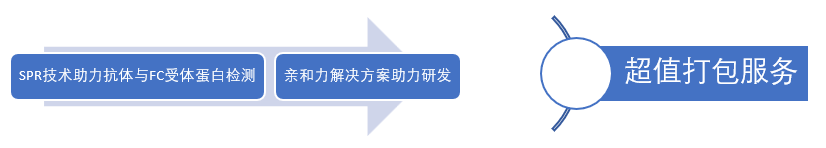 FC受体蛋白和抗体亲和力检测