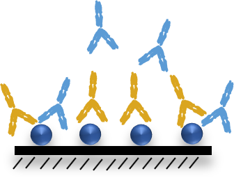 Biacore Epitope binning模块表位分析