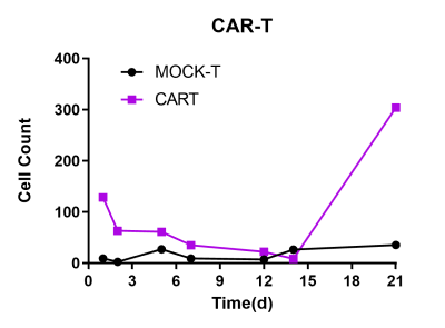 图C：外周血中循环的CAR-T细胞作为三相动力学图