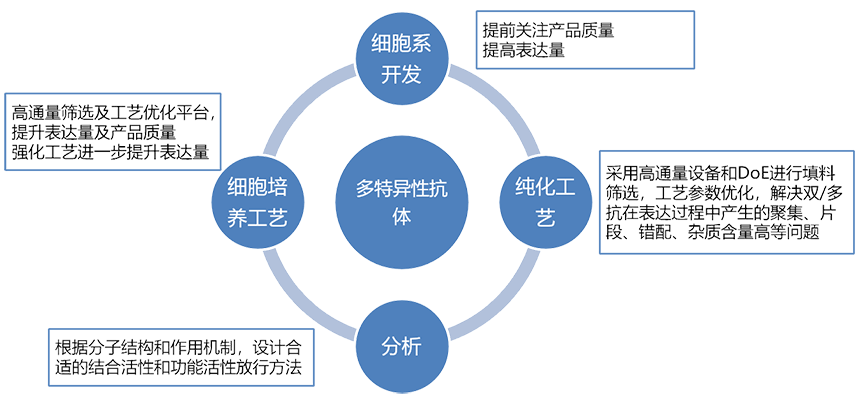 add-cmc-case-study-image10