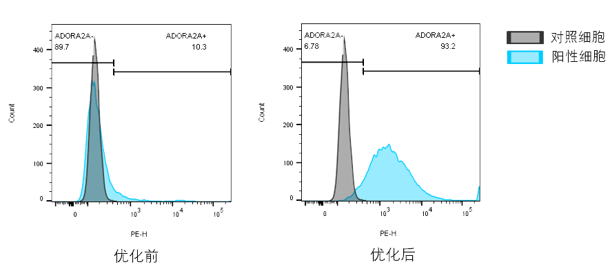 检测实验