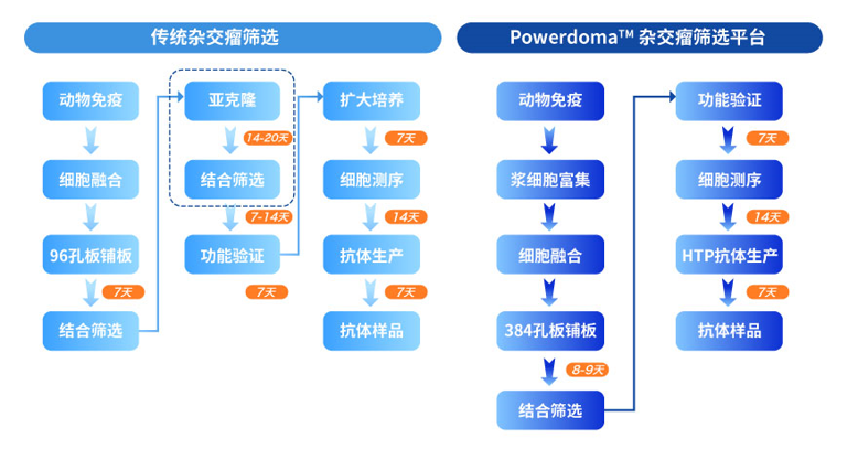 杂交瘤筛选平台