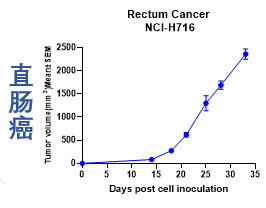 直肠癌