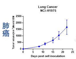 肺癌