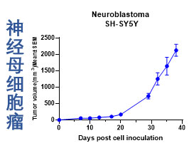 神经母细胞瘤