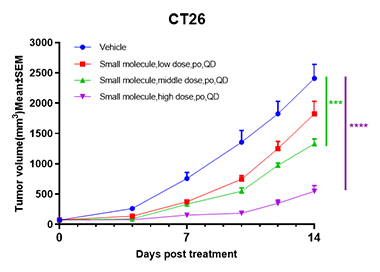 小分子药物在结肠癌（CT26）小鼠同系模型中的药效结果