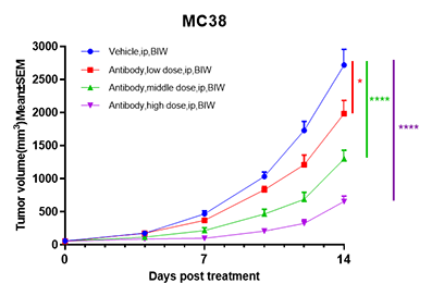 单抗药物在结肠癌（MC38）小鼠同系模型中的药效结果