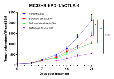 双抗药物在B-hPD-1/hCTLA-4小鼠的MC38模型中的药效结果