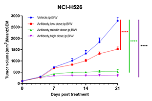 单抗药物在NCI-H526小鼠CDX模型中的药效结果