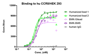 Binding to Hu CCR8 and cyno CCR8