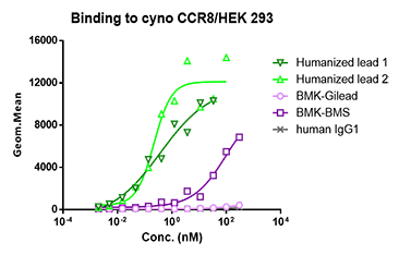 Binding to Hu CCR8 and cyno CCR8