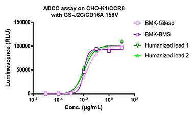 Cell based Function of Humanized Lead