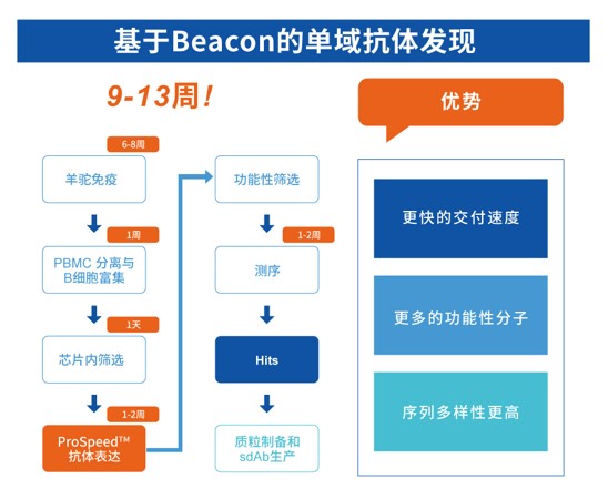 了解更多： ProSpeed™ 单 B 细胞抗体发现