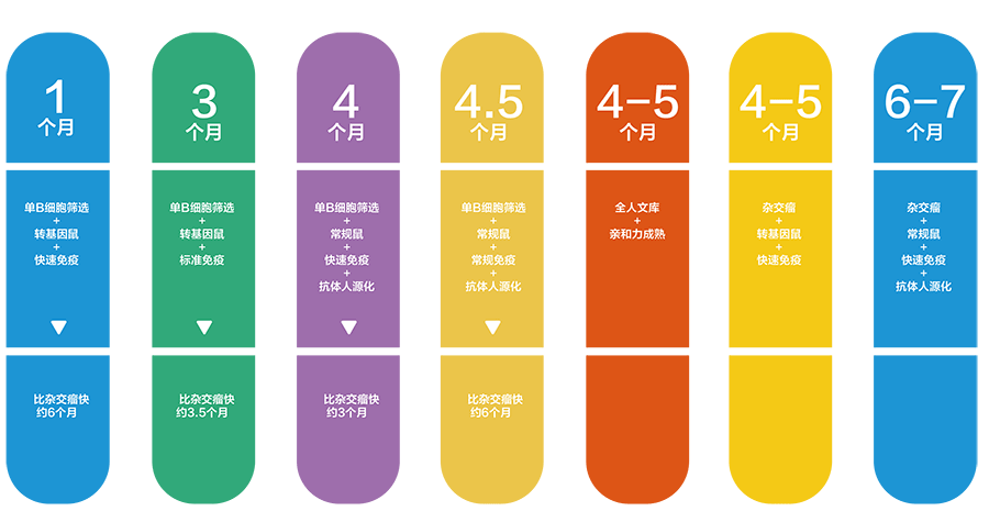 全人源抗体发现快速解决方案