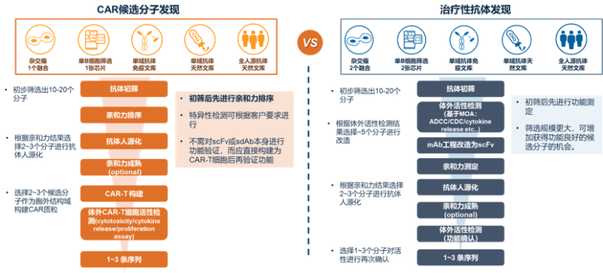 治疗性抗体发现策略 VS CAR候选分子发现策略